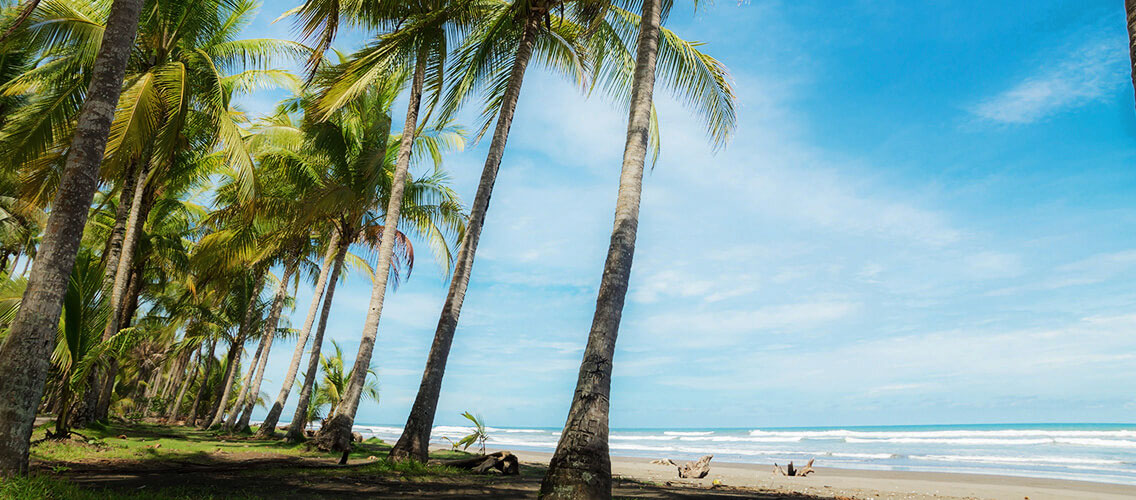 El Rincón Playa Bejuco