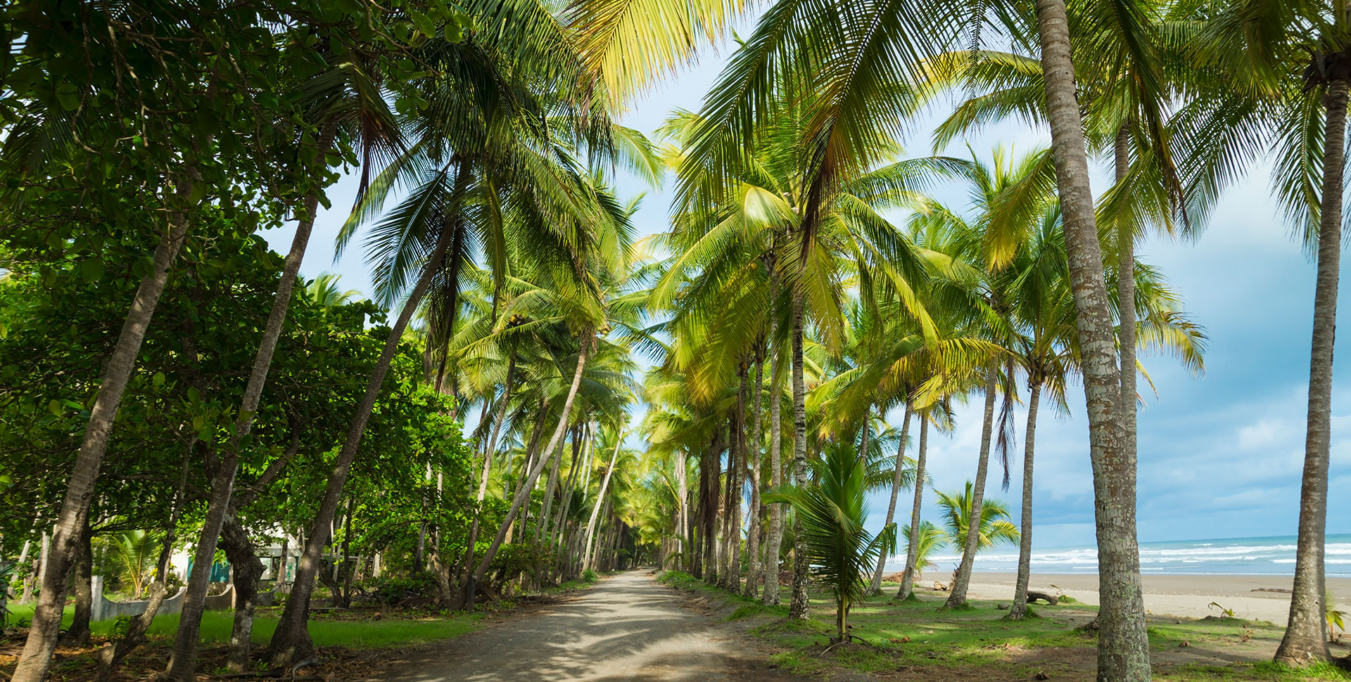 TRIBU MACAO PLAYA BEJUCO
